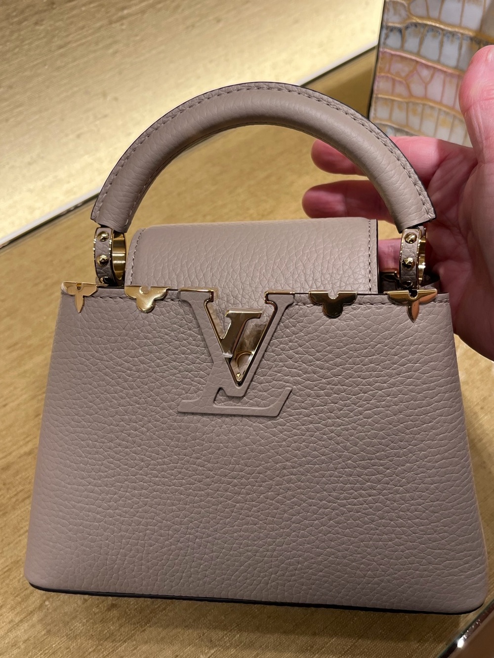 Louis Vuitton Galet Mini Capucines Monogram Flowers